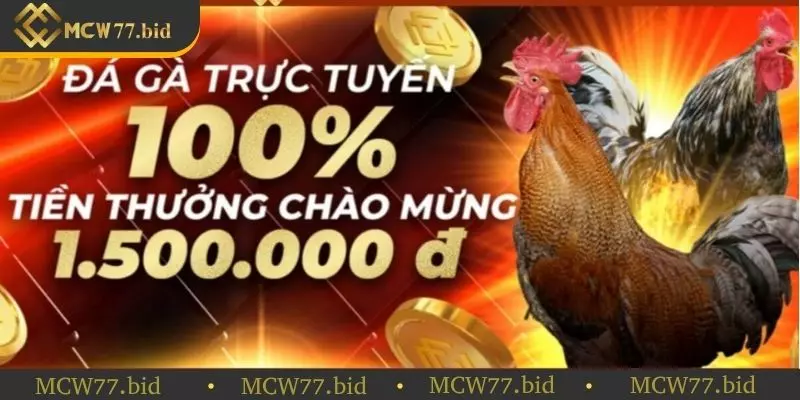 Các ưu đãi, khuyến mãi liên tục đúng hẹn 