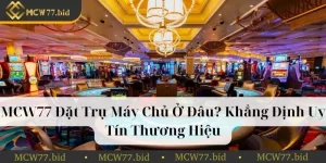 MCW77 đặt trụ máy chủ ở đâu